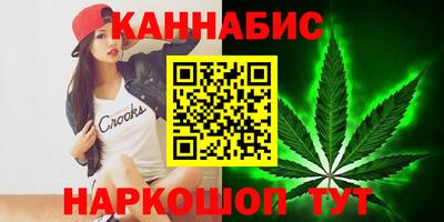 прущие крисы Кингисепп