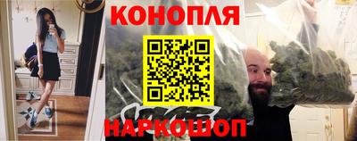 мяу мяу мука Кандалакша