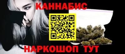 прущие крисы Кингисепп